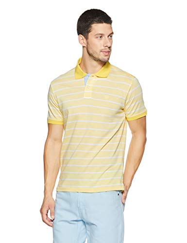 India Desire : Buy Allen Solly Men's Polo at Rs. 207 from Amazon [Regular Price Rs 699]