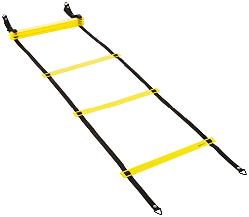 India Desire : Buy AmazonBasics Agility Ladder at Rs. 659 from Amazon [Regular Price Rs 729]