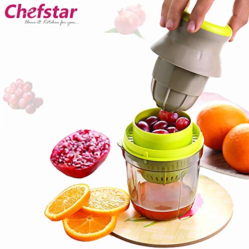 Buy Chefstar Fruit & Vegetable Handy Juicer 2 in 1, Multicolour at Rs