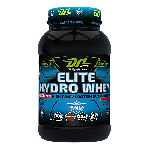 India Desire : Buy DN Elite Hydro Whey - 2 lbs (Chocochino) at Rs. 1162 from Amazon [MRP Rs 3199]