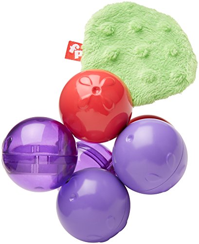 India Desire : Buy Fisher Price Twist and Turn Grapes, Multi Color at Rs. 150 from Amazon [MRP Rs 399]