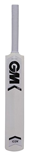 India Desire : Buy GM Icon Mini Autograph Bat (not meant for playing) at Rs. 79 from Amazon 