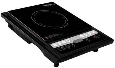 induction range electric