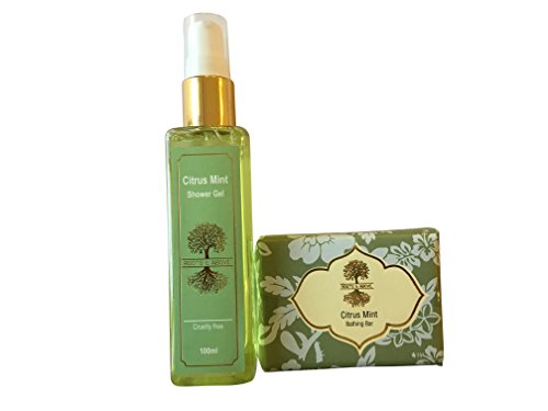 India Desire : Buy Roots & Above Citrus Mint Glycerine Bathing Bar, 100g and Citrus Mint Shower Gel, 100ml at Rs. 72 from Amazon