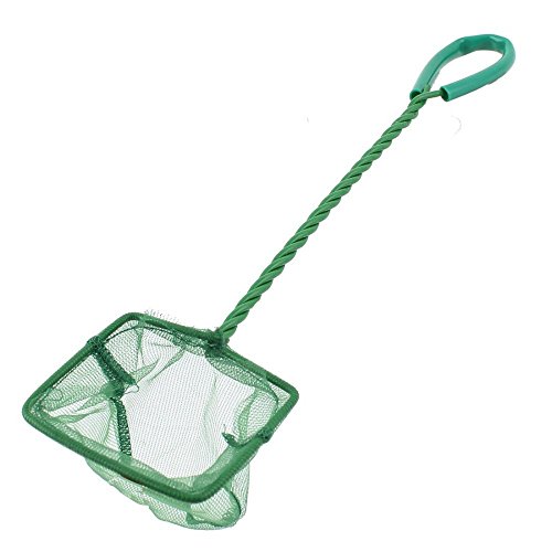 India Desire : Buy SRI Metal Frame Aquarium Fish Landing Net (Small) at Rs. 88 from Amazon