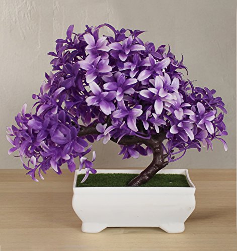 India Desire : Buy Tied Ribbons Plastic Artificial Bonsai Tree (19.99 cm x 19.99 cm x 19.99 cm) at Rs. 99 from Amazon
