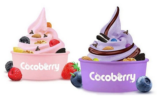 India Desire : Buy Cocoberry Frozen Yoghurt At Rs. 49 + Rs. 5 Cashback [Valid For Delhi, Gurgaon]