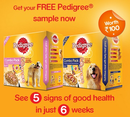 Free pedigree 2025 puppy pack