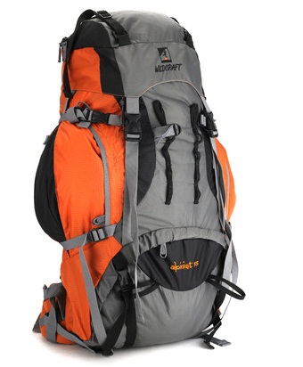 travel bag flipkart